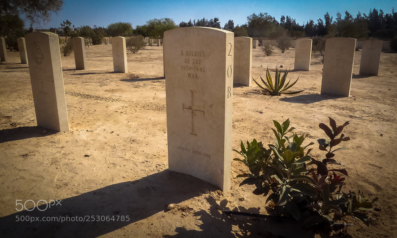 Panasonic Lumix DMC-ZS50 (Lumix DMC-TZ70) sample photo. El alamein photography