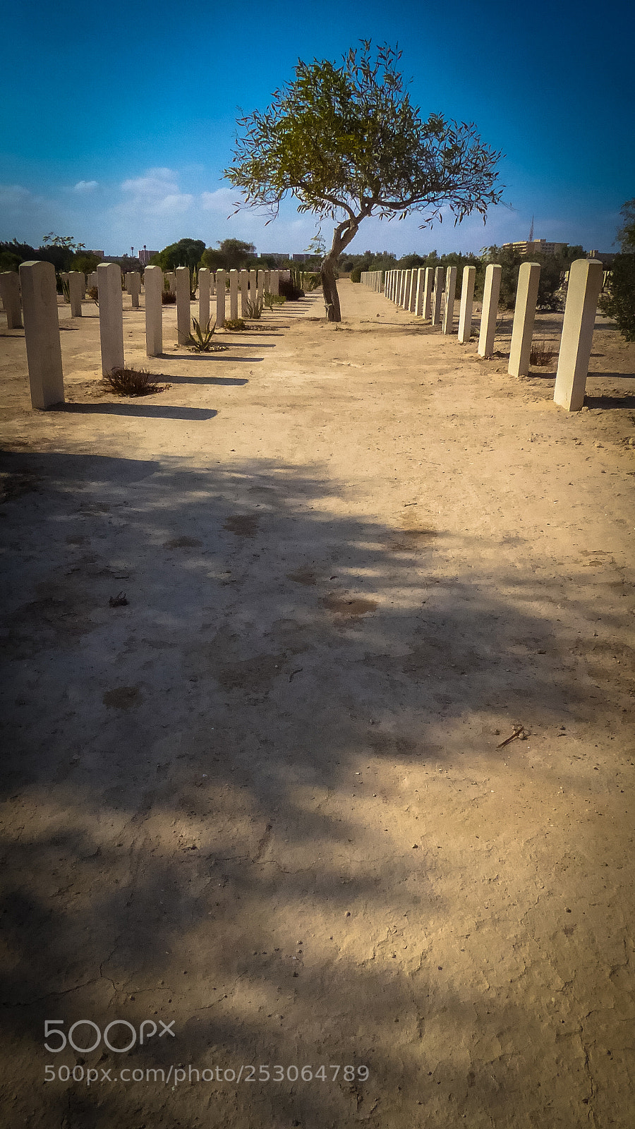 Panasonic Lumix DMC-ZS50 (Lumix DMC-TZ70) sample photo. El alamein photography