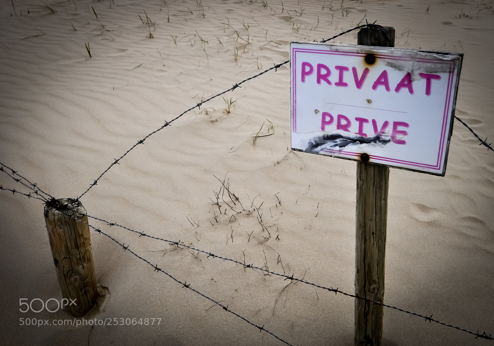 Nikon D5000 sample photo. La panne photography