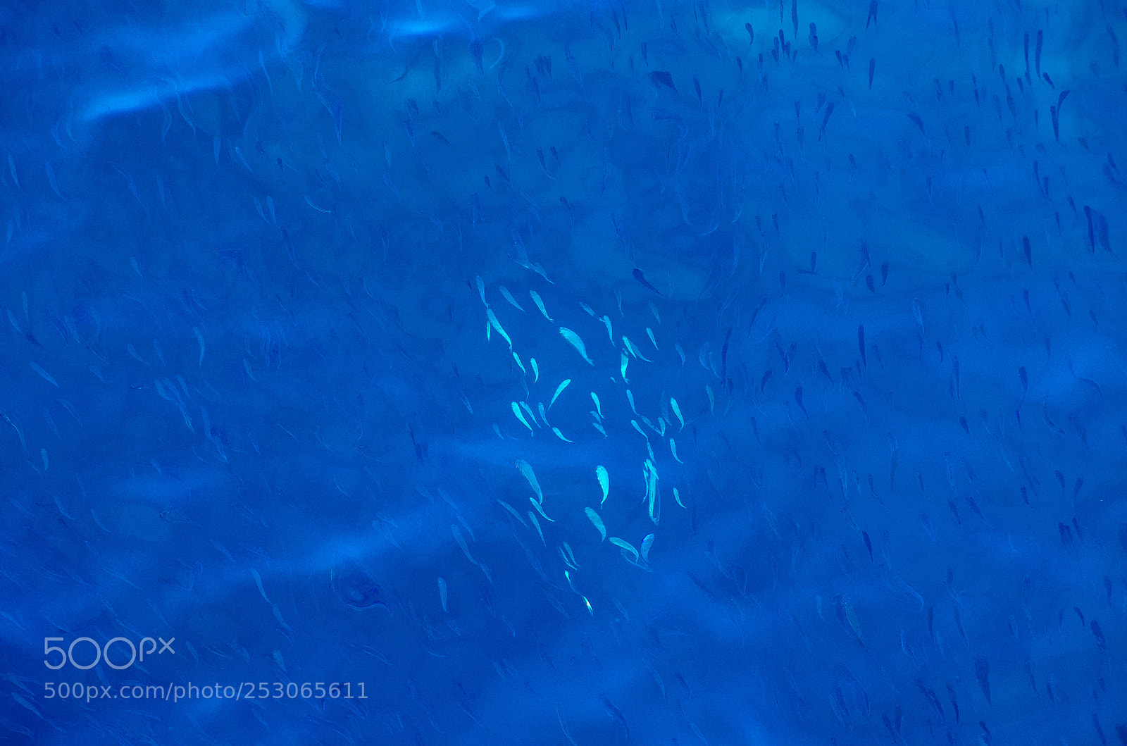Pentax K-5 sample photo. Ferry (nuweiba aqaba) photography