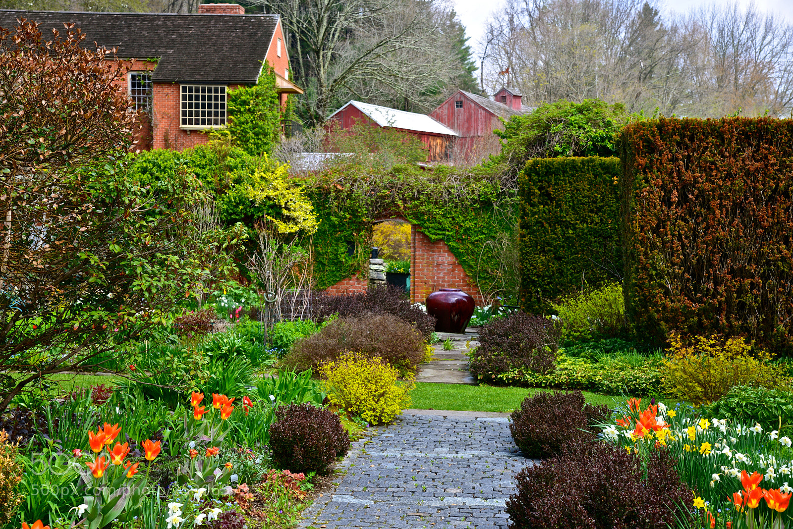 Nikon D600 sample photo. A garden walk photography
