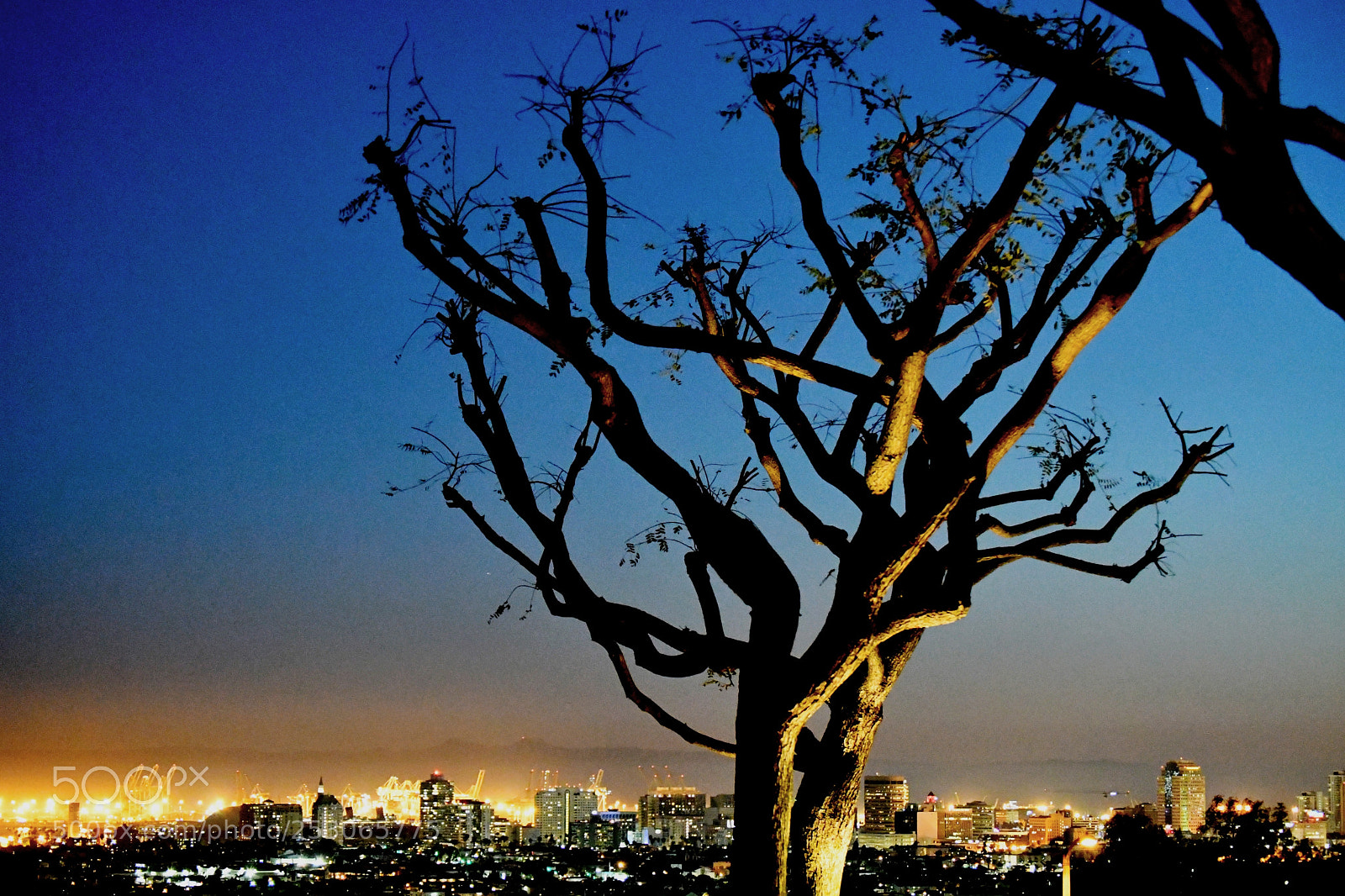 Nikon D7500 sample photo. City at night photography