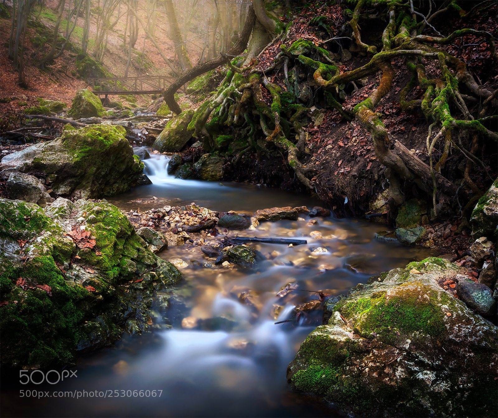 Sony a7 II sample photo. Dera creek photography