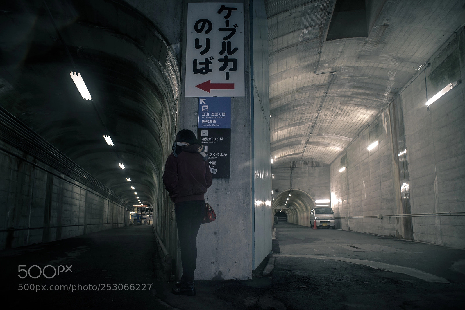 Nikon D610 sample photo. Which do you choose photography