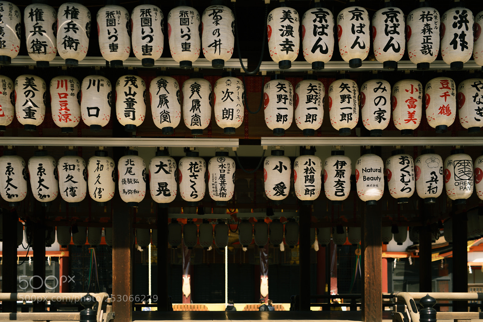 Nikon D610 sample photo. Kyoto photography