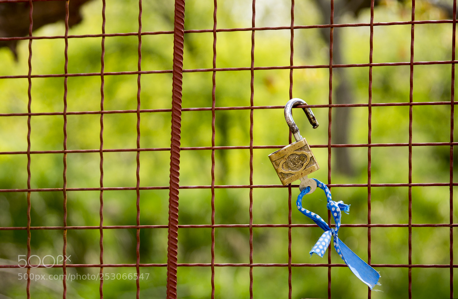 Nikon D7100 sample photo. Are we free? photography