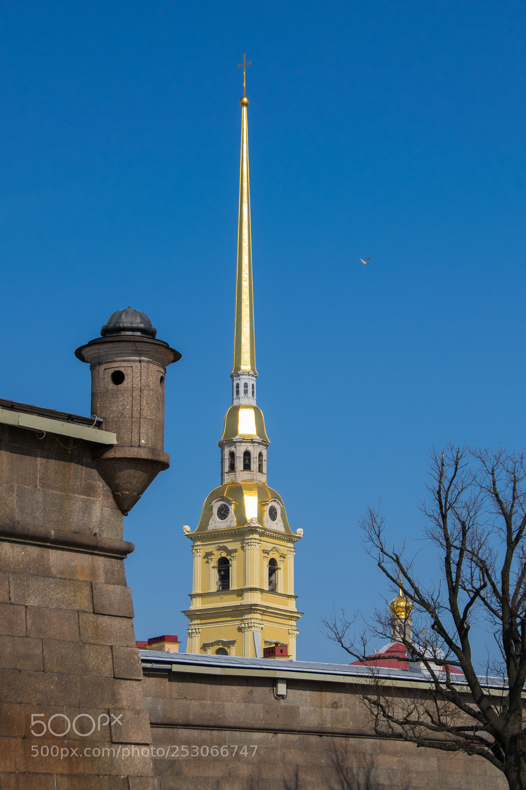 Nikon D3300 sample photo. Saints peter and paul photography