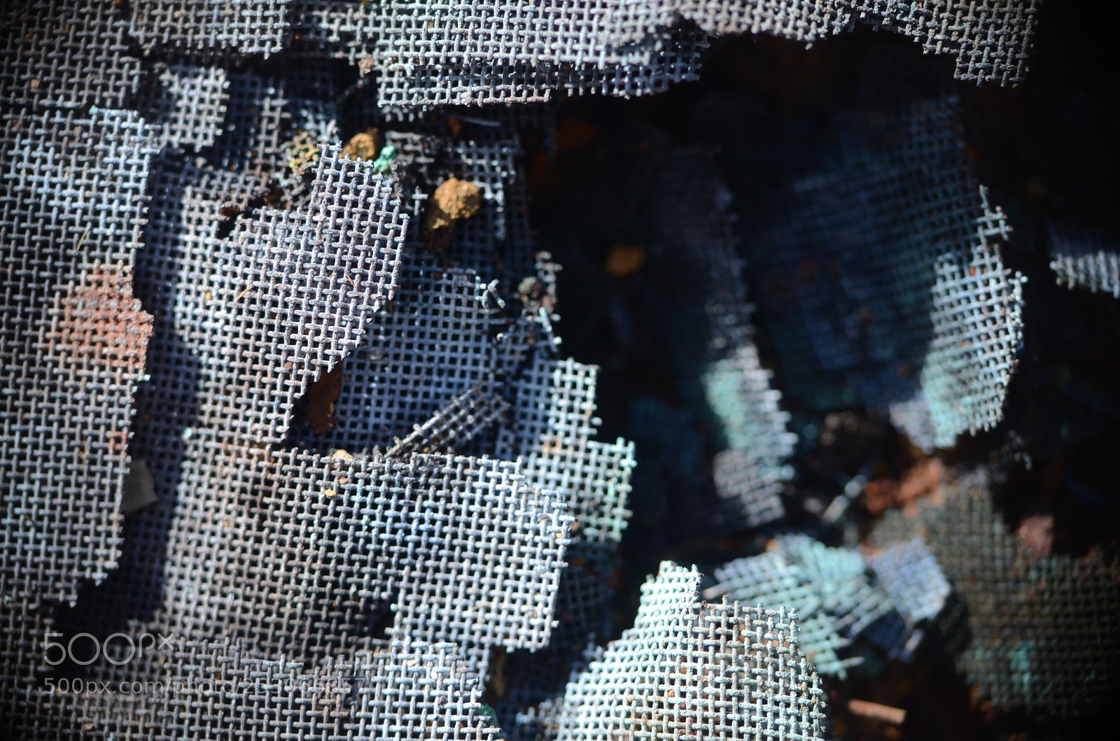 Nikon D7000 sample photo. Macro texture photography