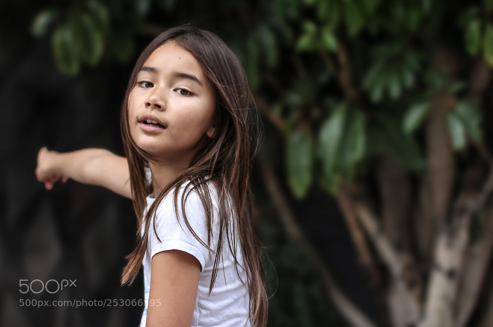 Canon EOS 60D sample photo. Dylan photography