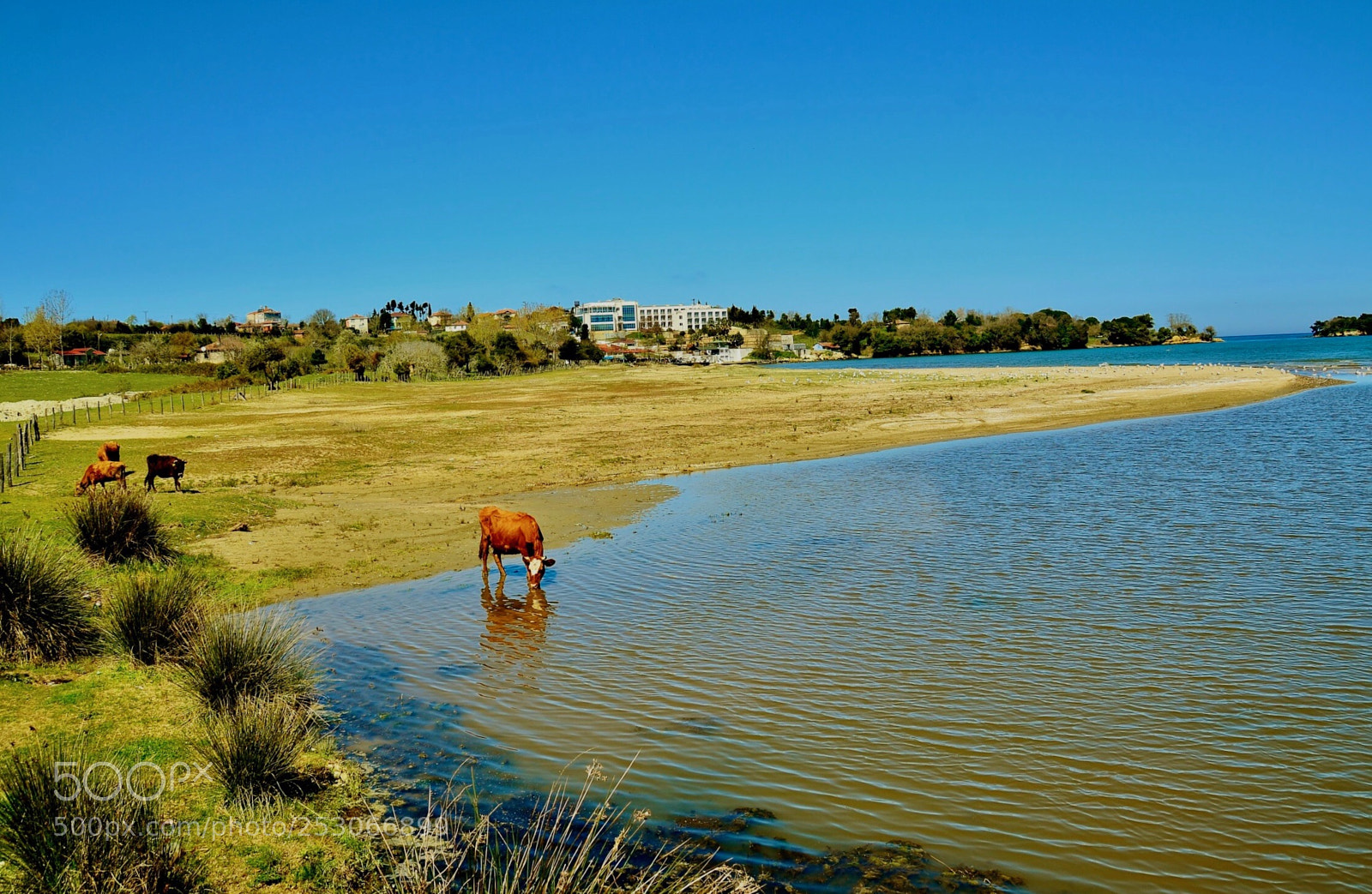 Nikon D7000 sample photo. River & sea  photography