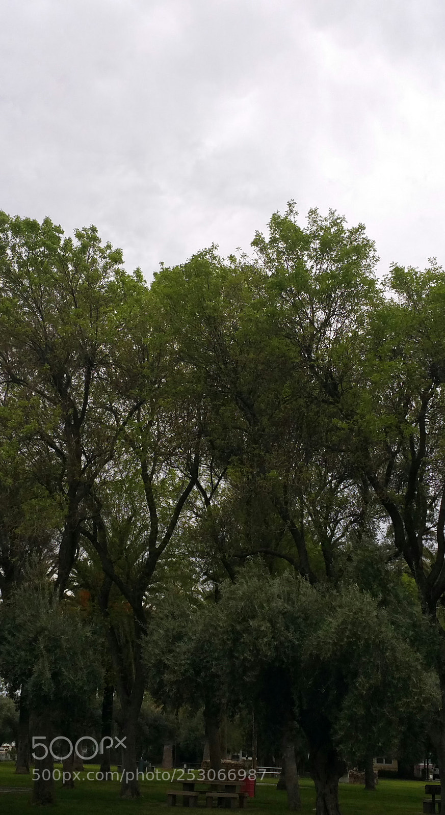 Samsung Galaxy Note4 sample photo. Gloomy day photography