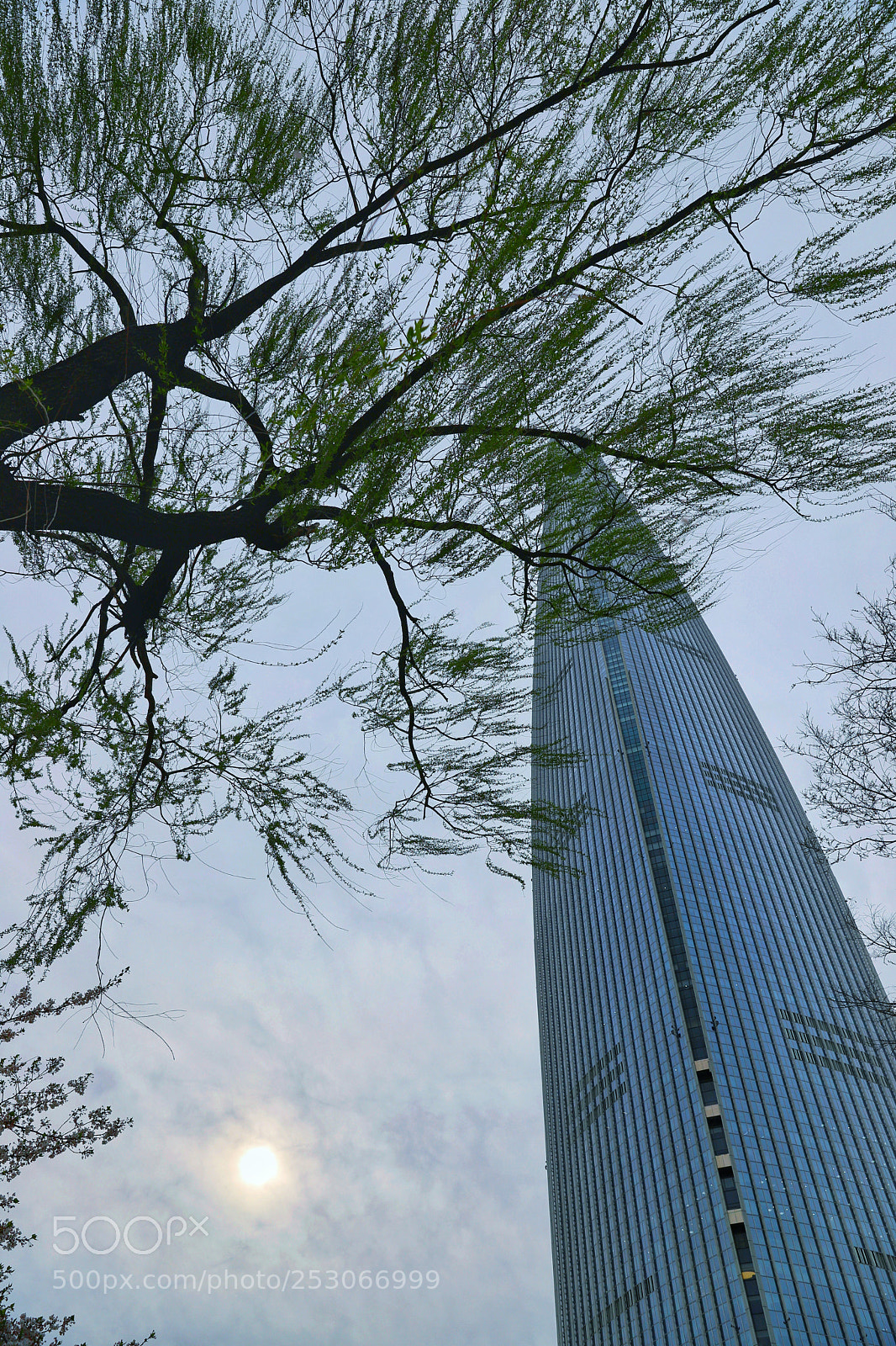 Canon EOS 6D Mark II sample photo. Willow willow and seoul photography