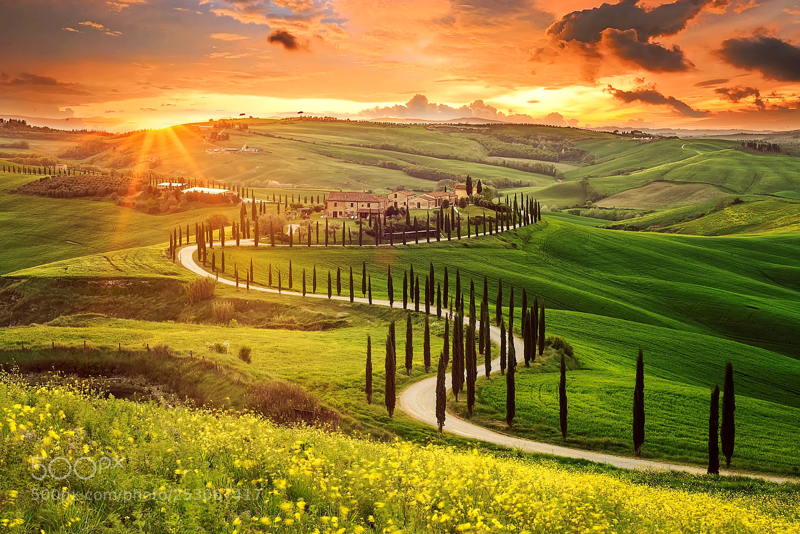 Nikon D600 sample photo. Tuscany photography