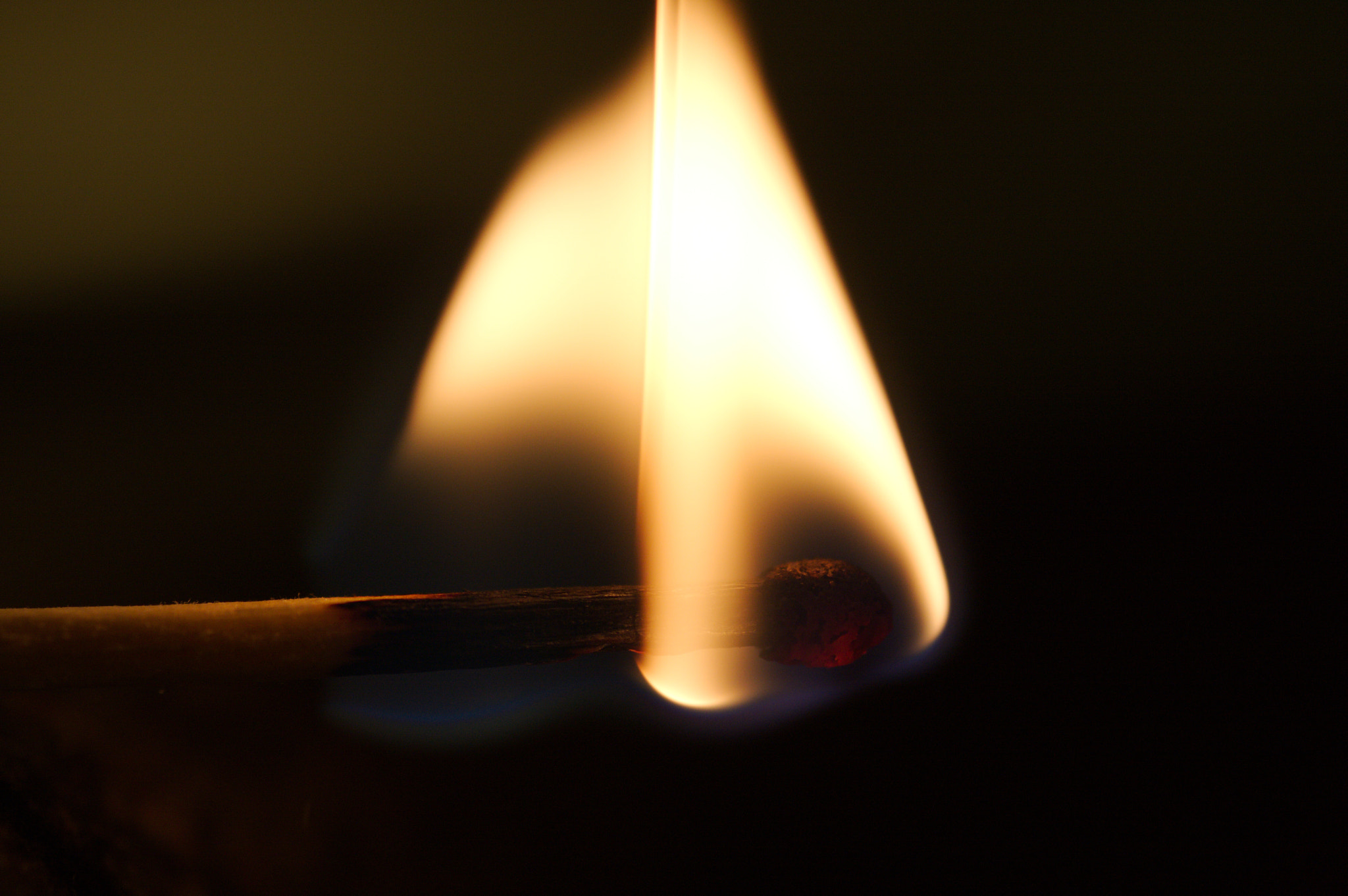 Sigma 105mm F2.8 EX DG Macro sample photo. Fire origin photography