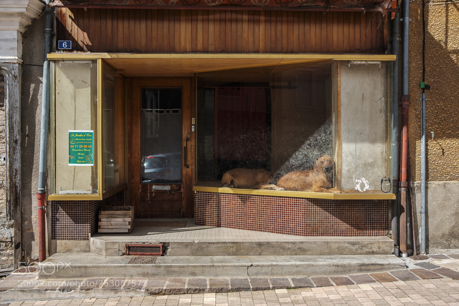 Fujifilm X-Pro2 sample photo. Massiac auvergne photography