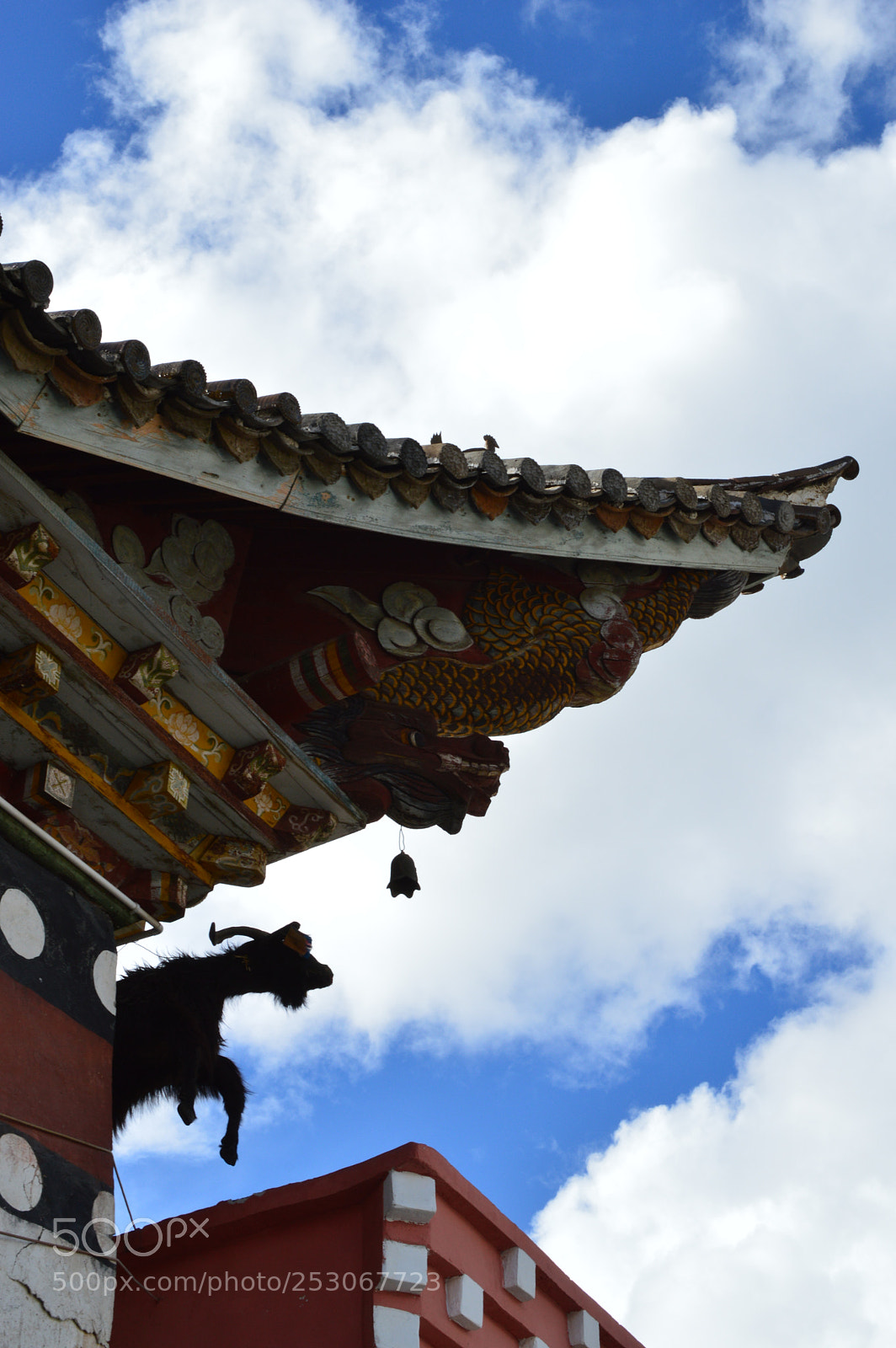 Nikon D3200 sample photo. Flying over temple photography