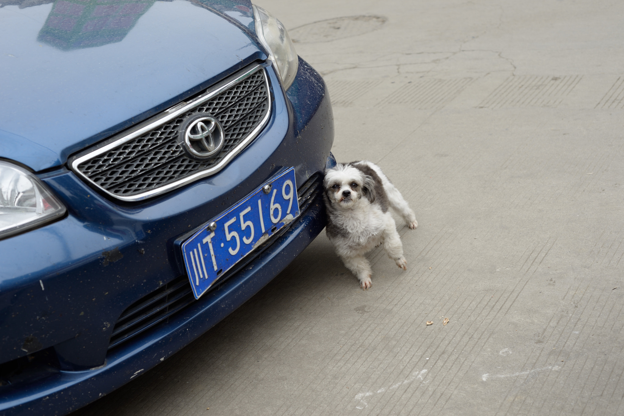 Nikon D610 + Nikon AF Nikkor 50mm F1.8D sample photo
