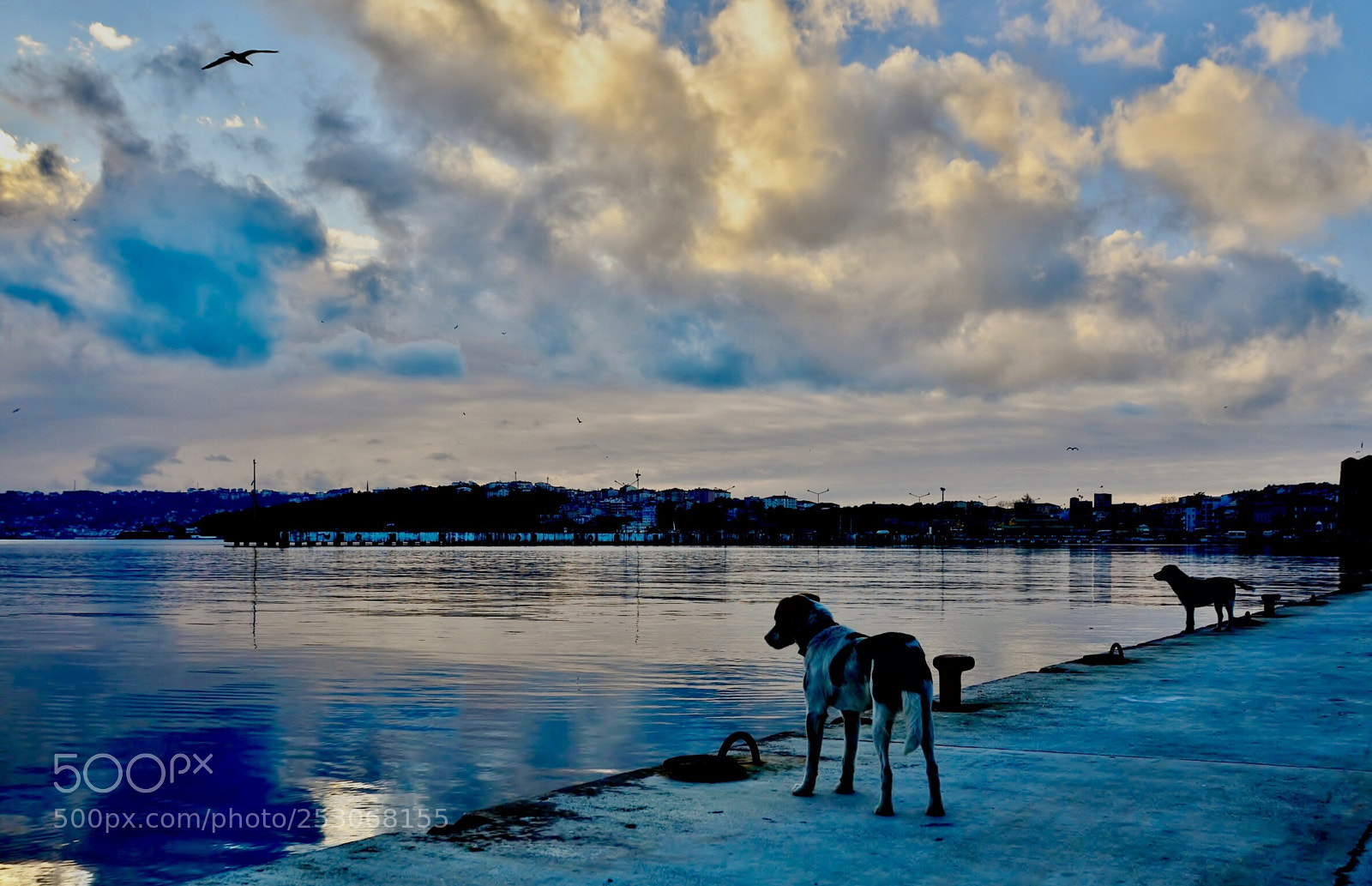Nikon D7000 sample photo. Usually waited one never photography