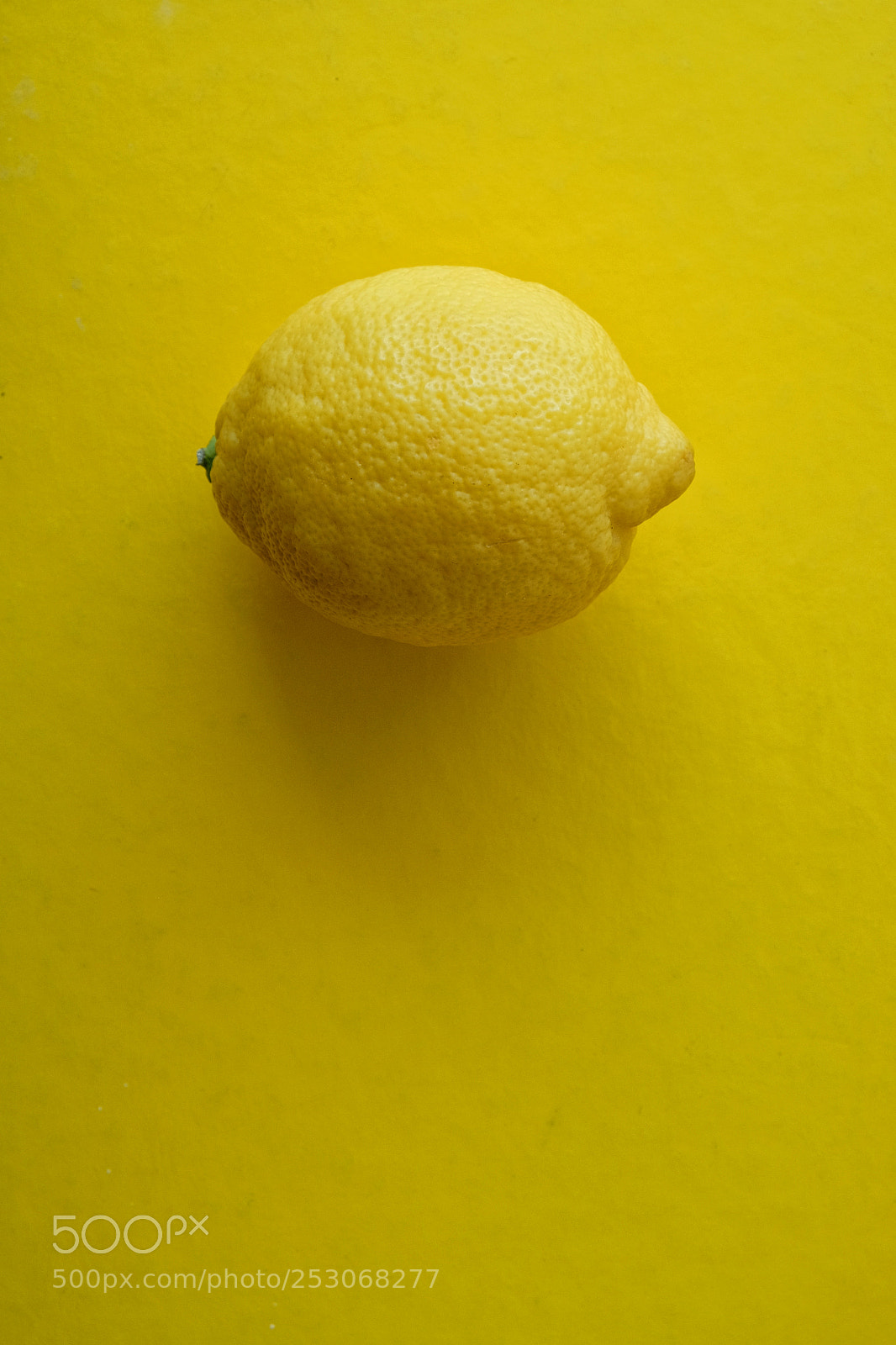 Fujifilm X-T1 sample photo. Totally yellow lemon and photography