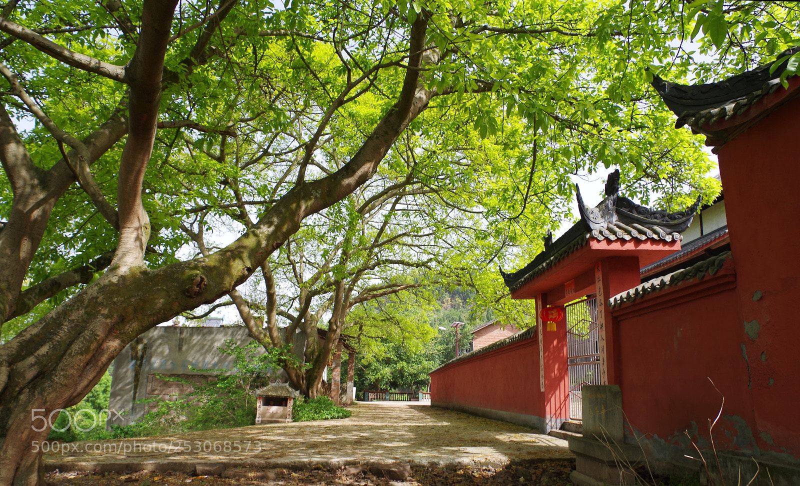 Pentax K-30 sample photo. Untitled photography
