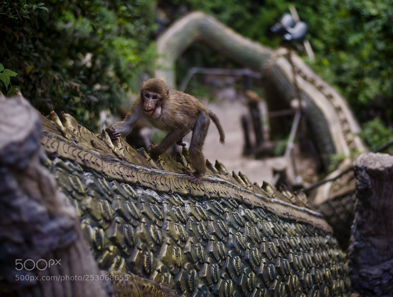 Nikon D7000 sample photo. Chiang rai photography