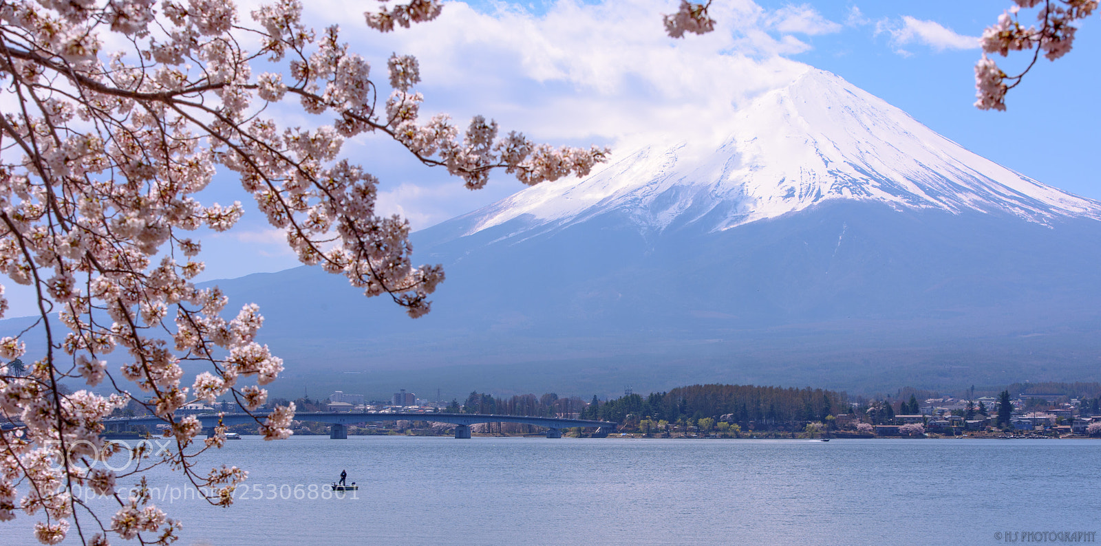 Nikon D810 sample photo. Mt. fuji photography