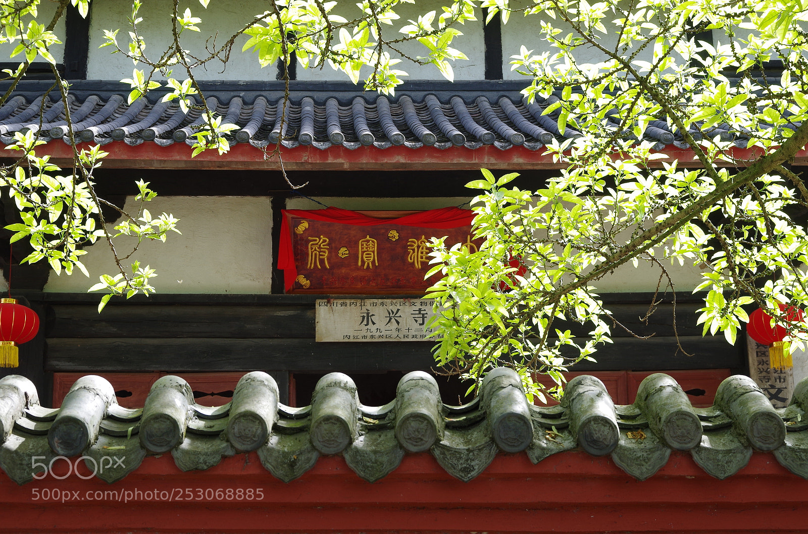 Pentax K-30 sample photo. Untitled photography