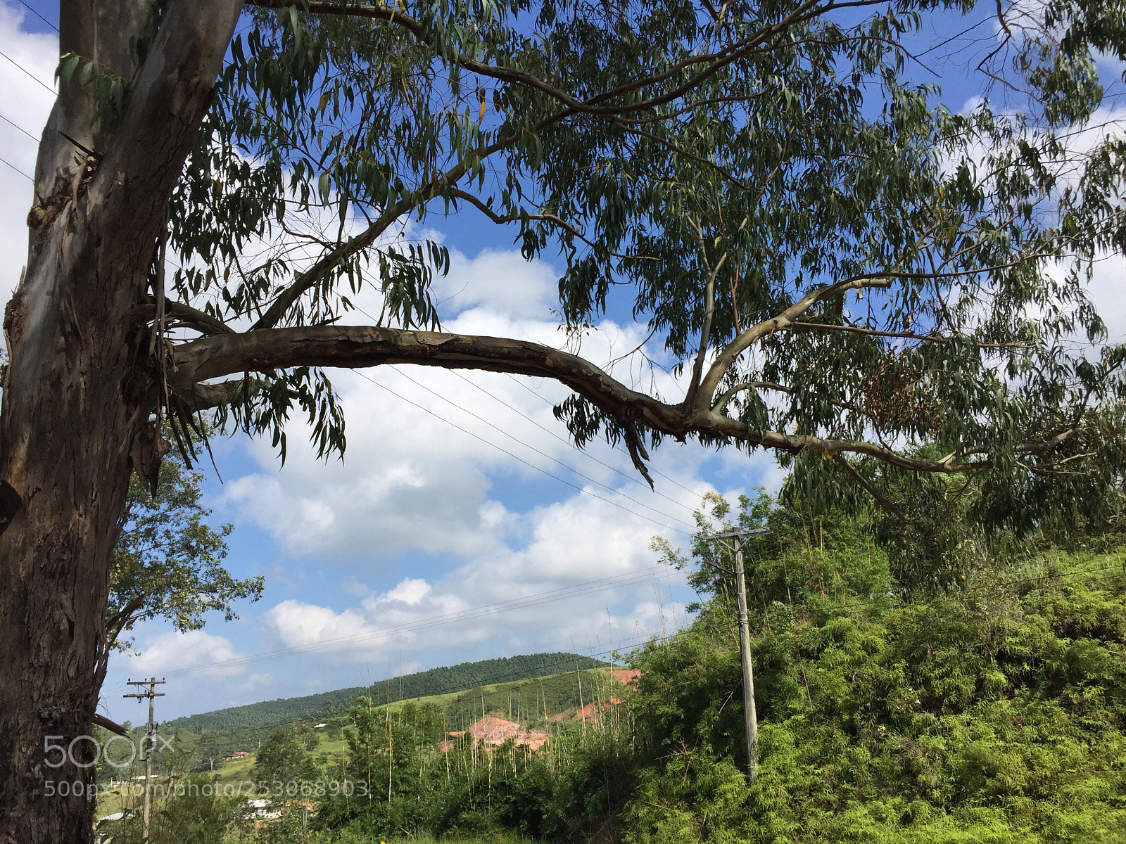 Apple iPhone 6 sample photo. Untitled photography