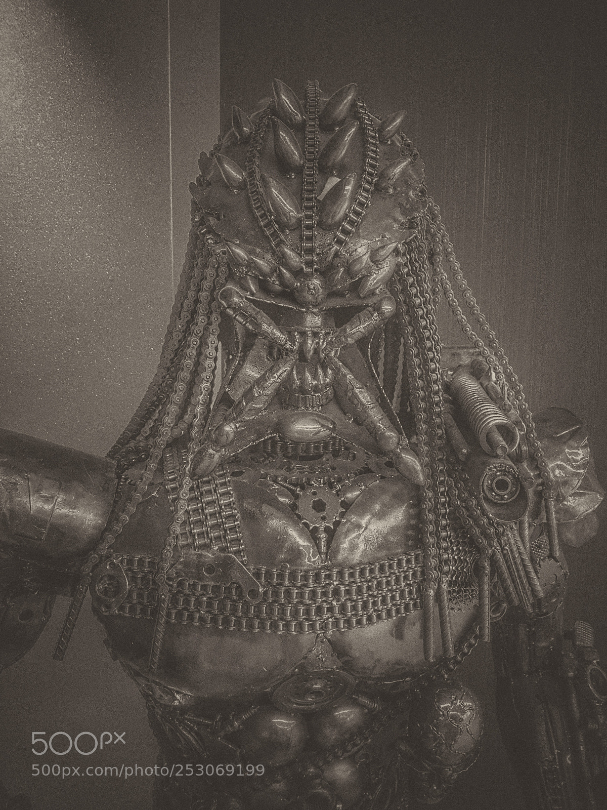 Samsung Galaxy S7 Edge sample photo. Predator photography