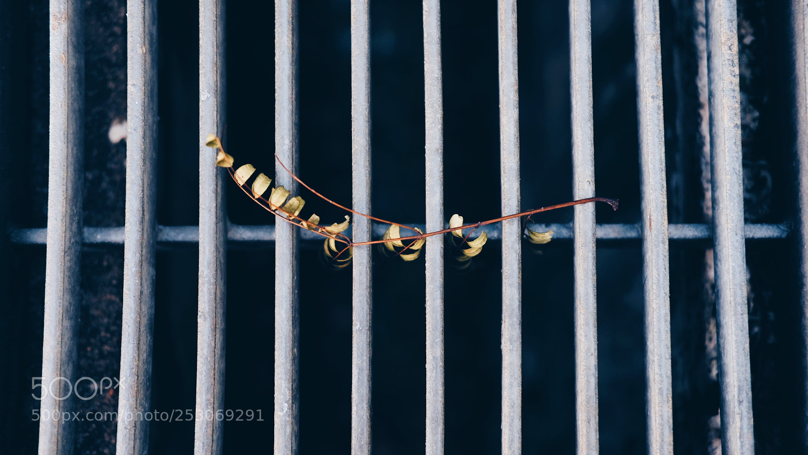 Fujifilm X-T1 sample photo. Untitled photography