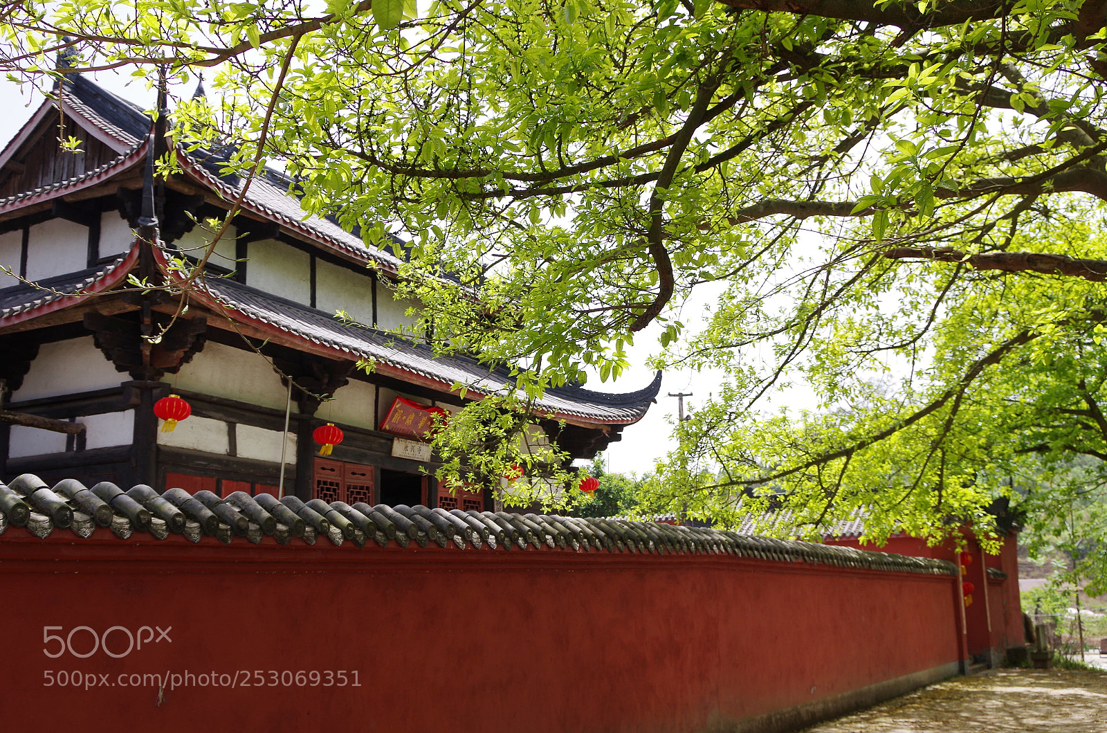 Pentax K-30 sample photo. Untitled photography