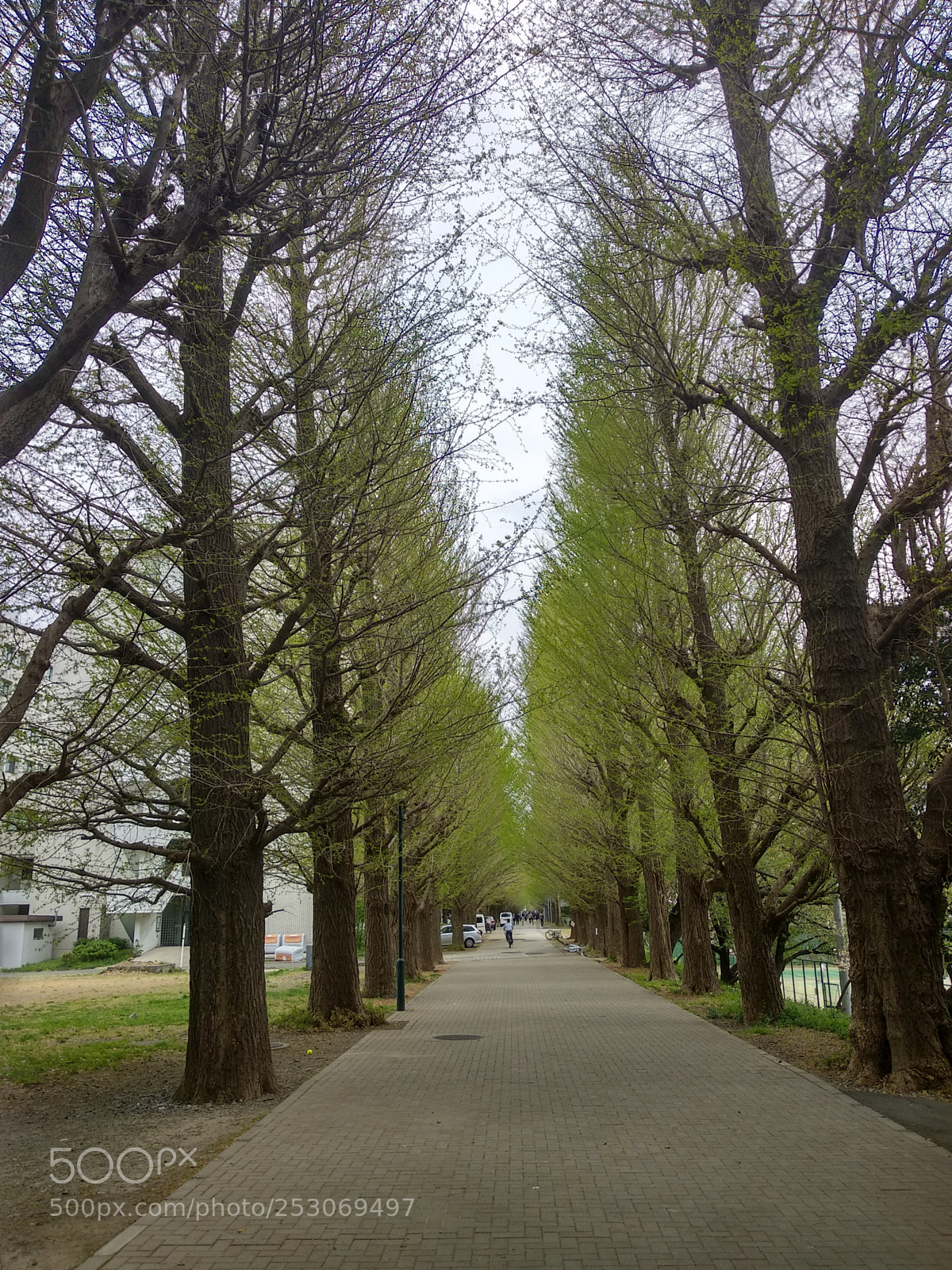 Xiaomi Mi A1 sample photo. Hdr photography