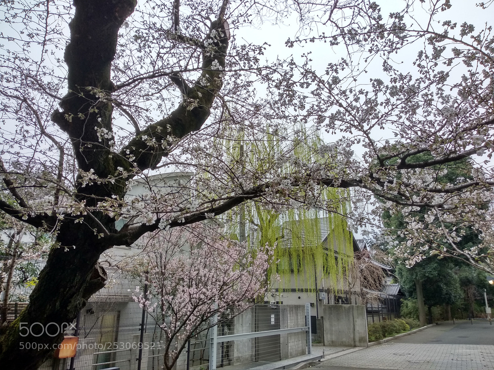 Xiaomi Mi A1 sample photo. Hdr photography
