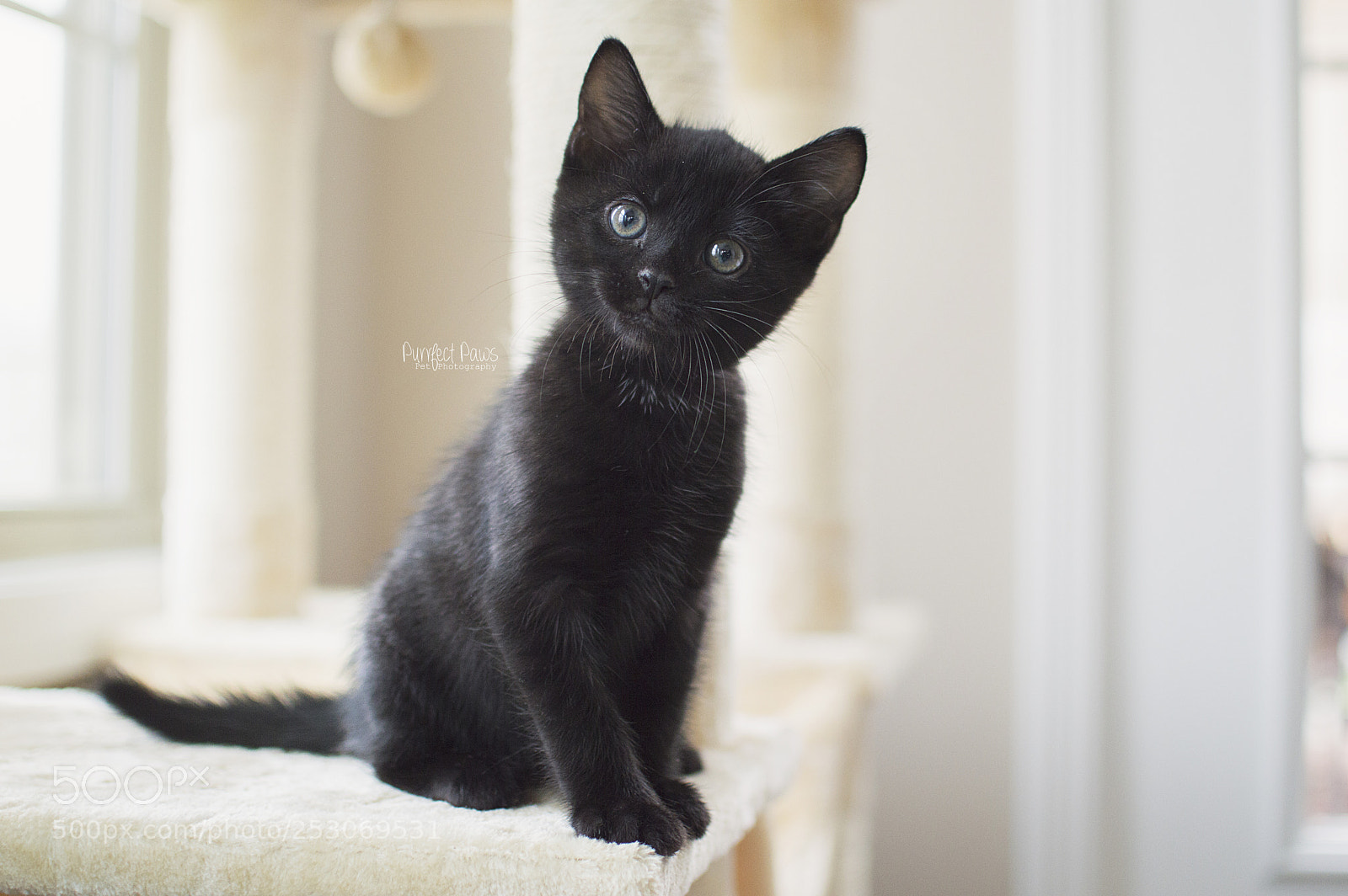 Nikon D3200 sample photo. Newest addition - binx photography
