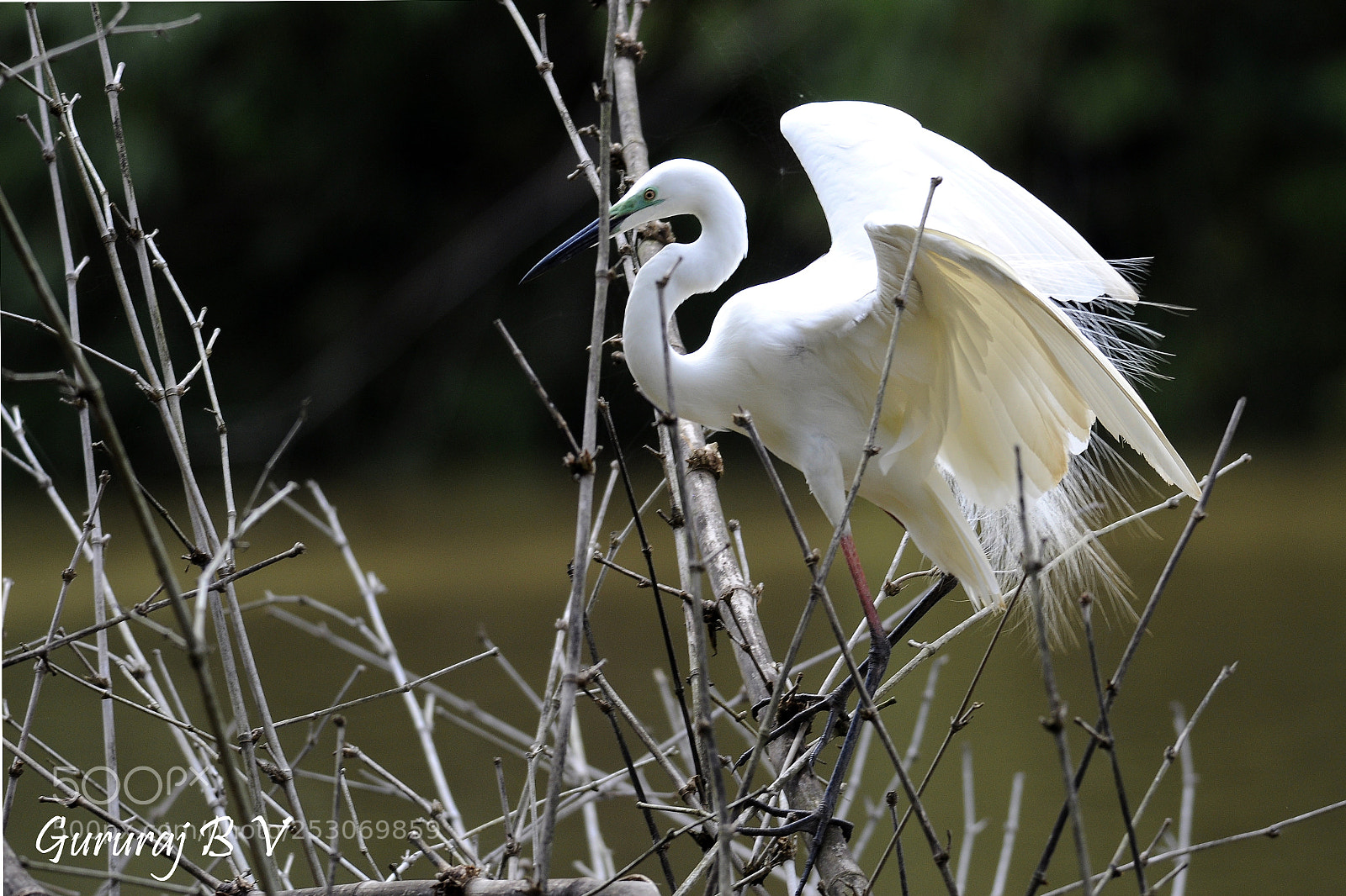 Nikon D90 sample photo. Untitled photography