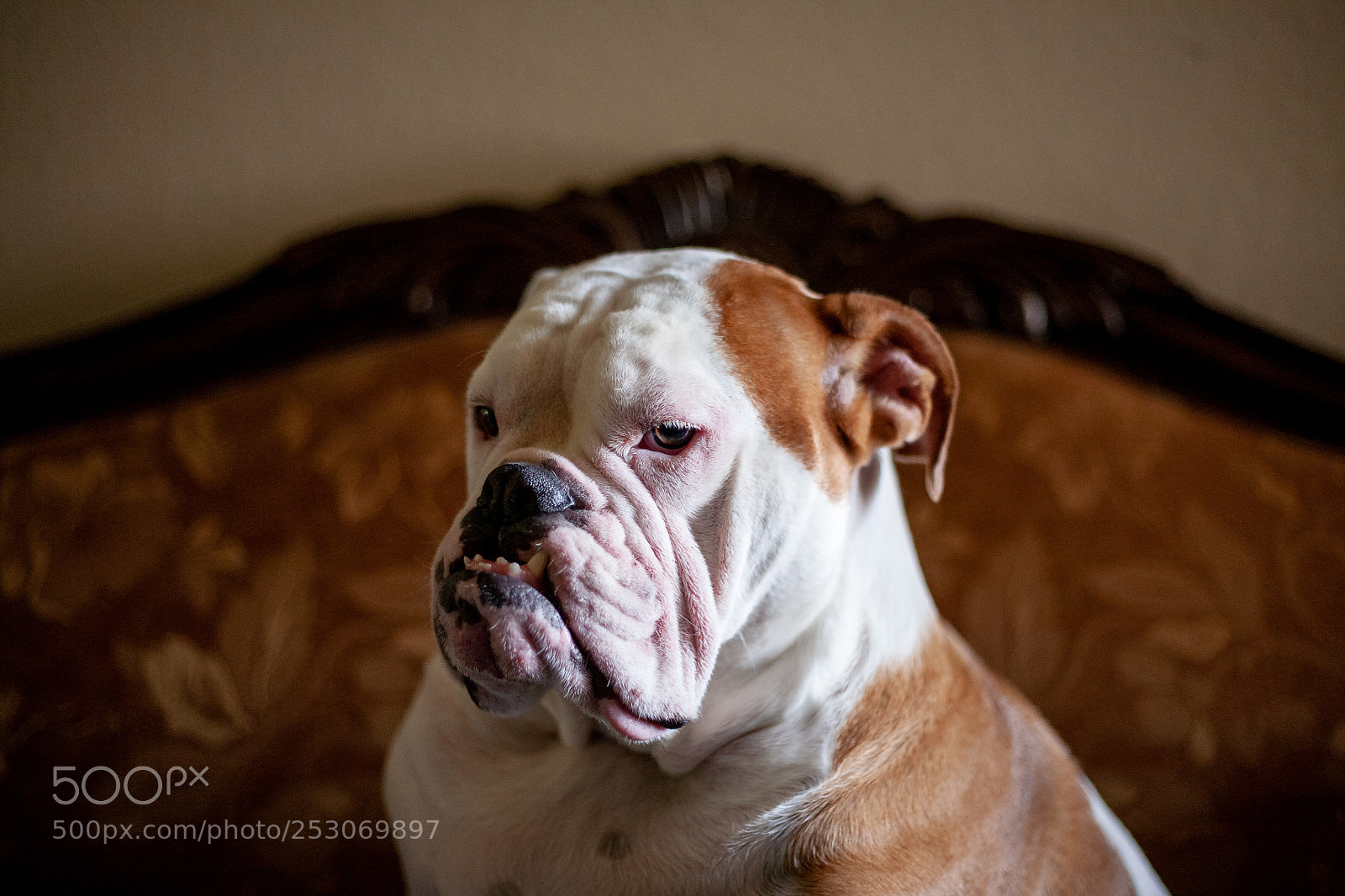 Canon EOS 5D sample photo. Barnabas photography