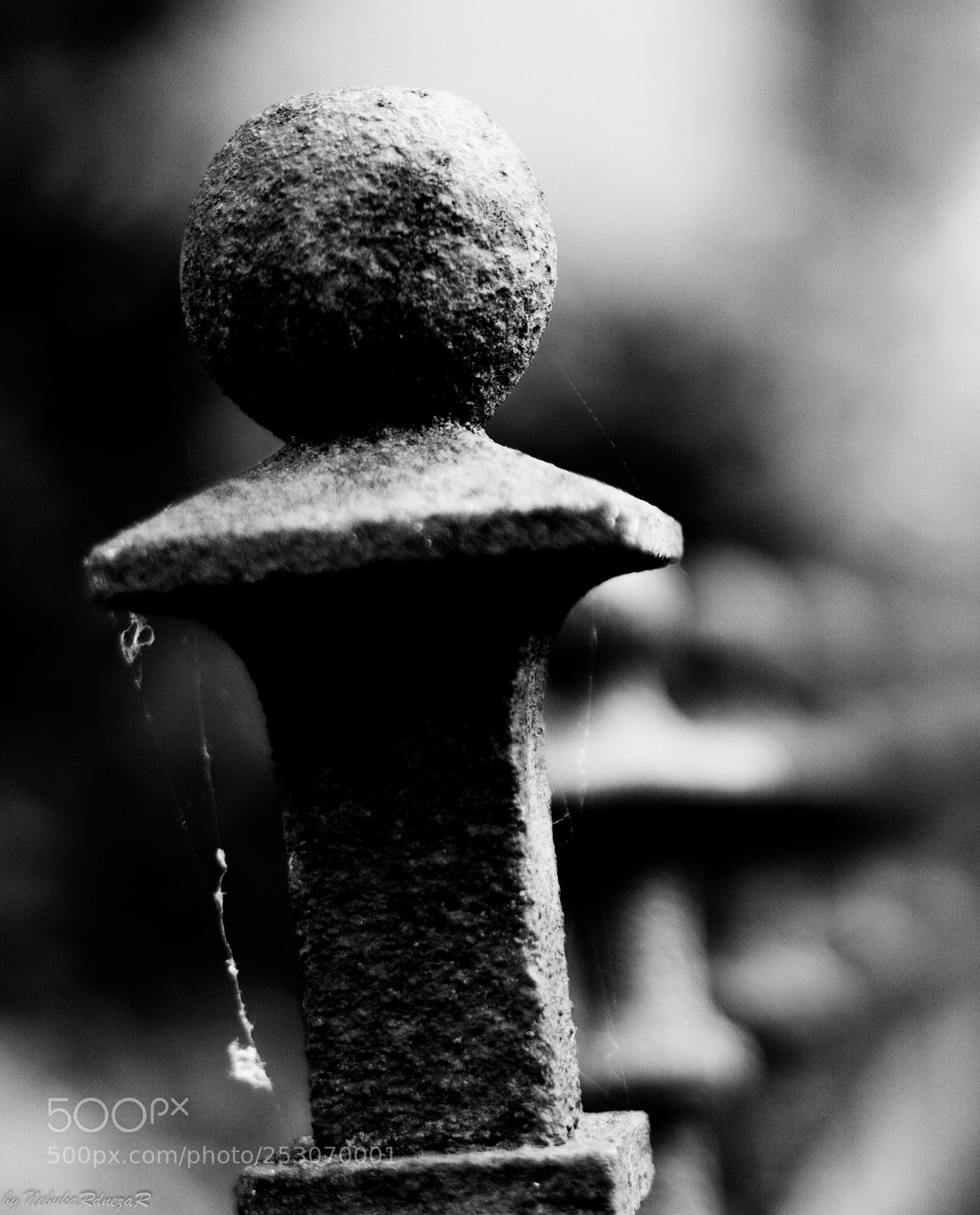 Canon EOS 7D sample photo. Row photography