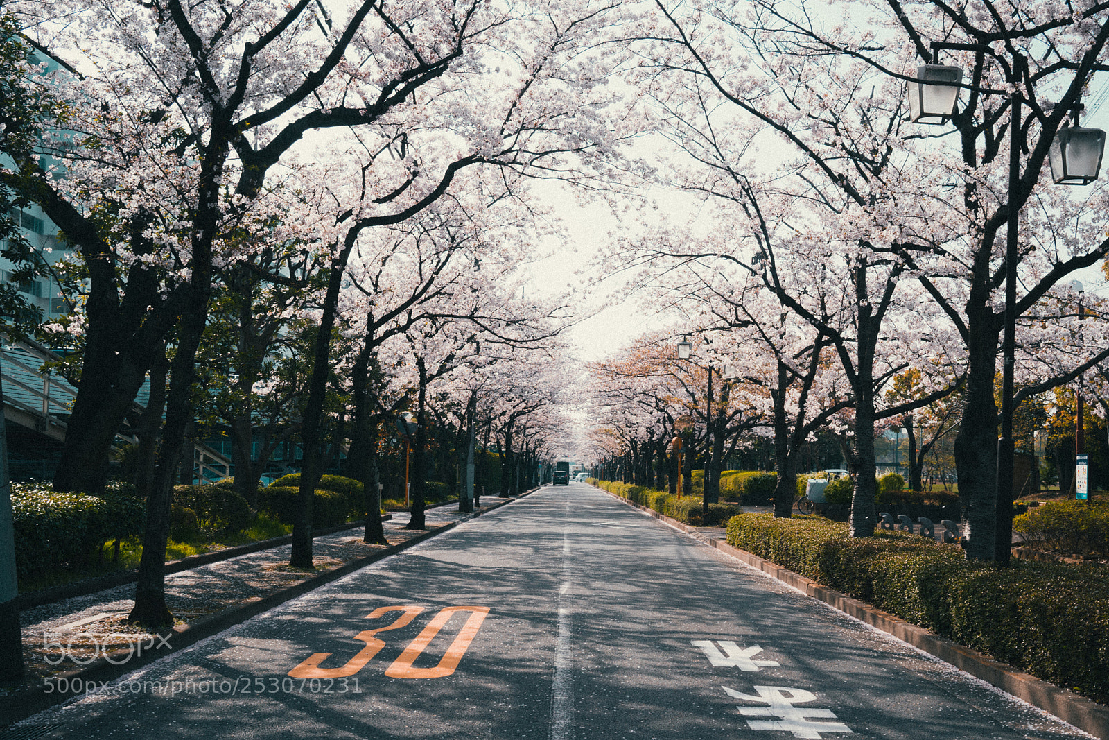 Sony a7 sample photo. Final photography