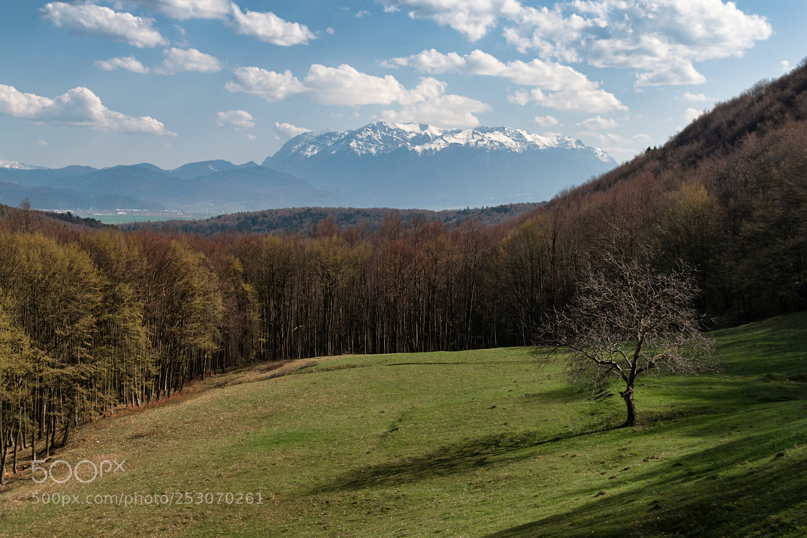 Nikon D80 sample photo. Springtime photography