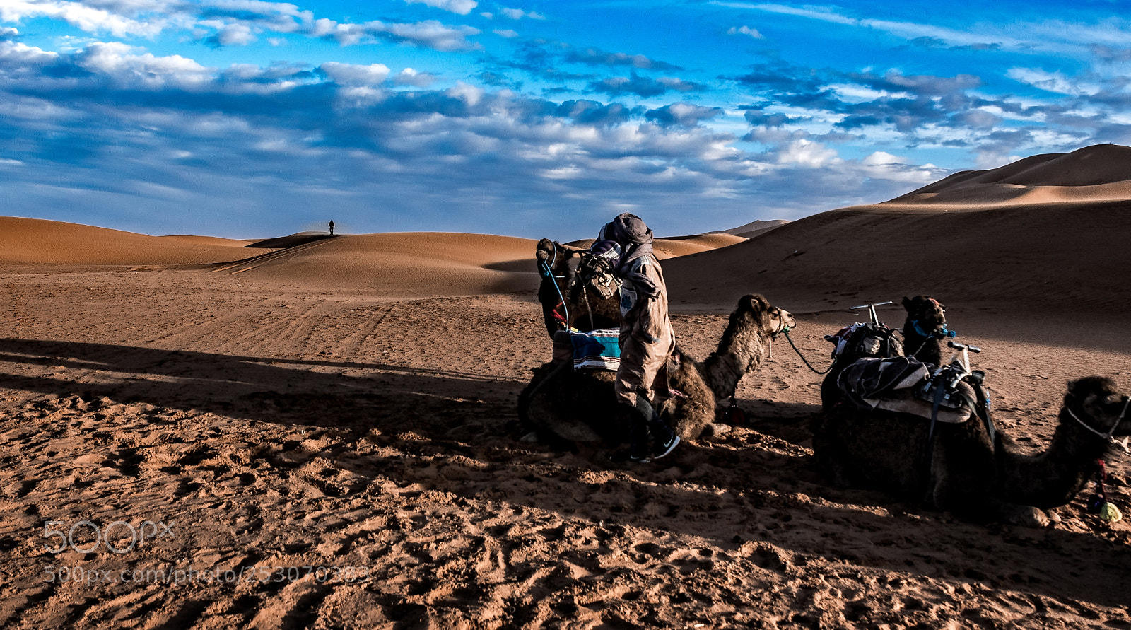 Nikon D7500 sample photo. Morocco desert photography