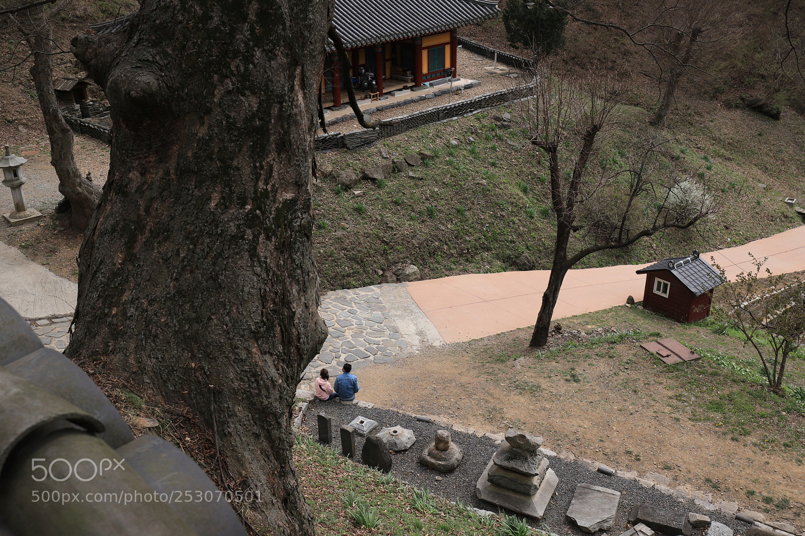 Canon EOS 6D Mark II sample photo. A little lovers photography