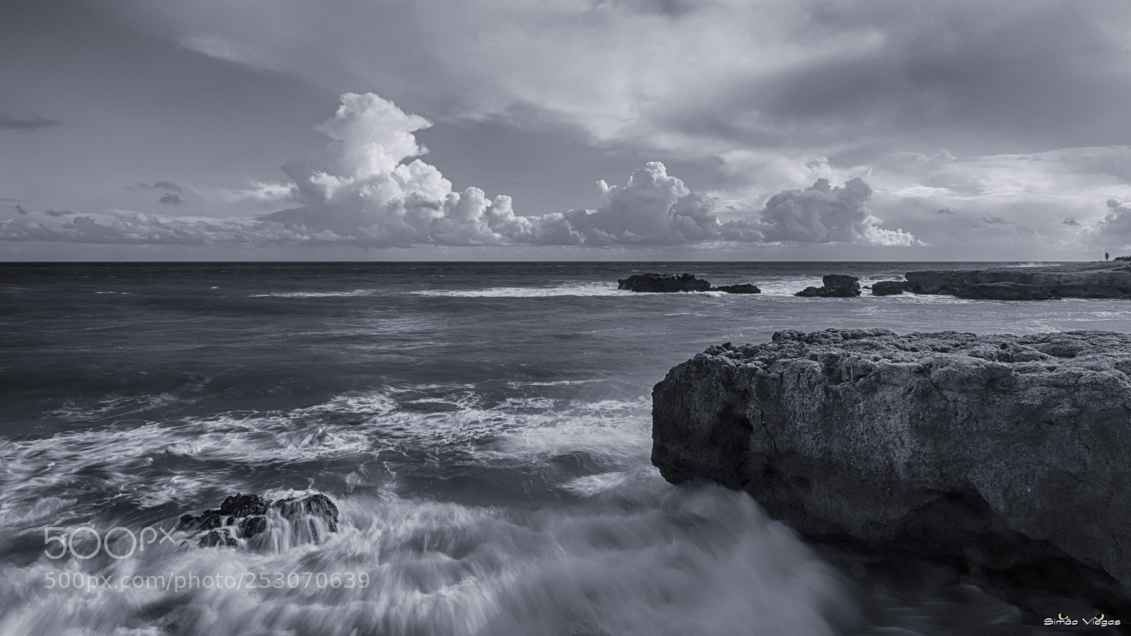 Nikon D500 sample photo. Aveiros, kodak panatomic x photography