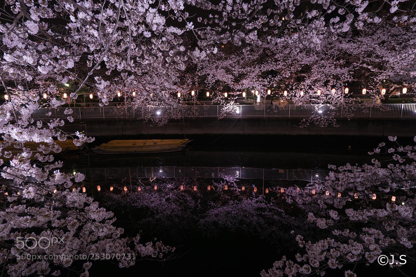 Sony a7R II sample photo. Cherry blossom photography
