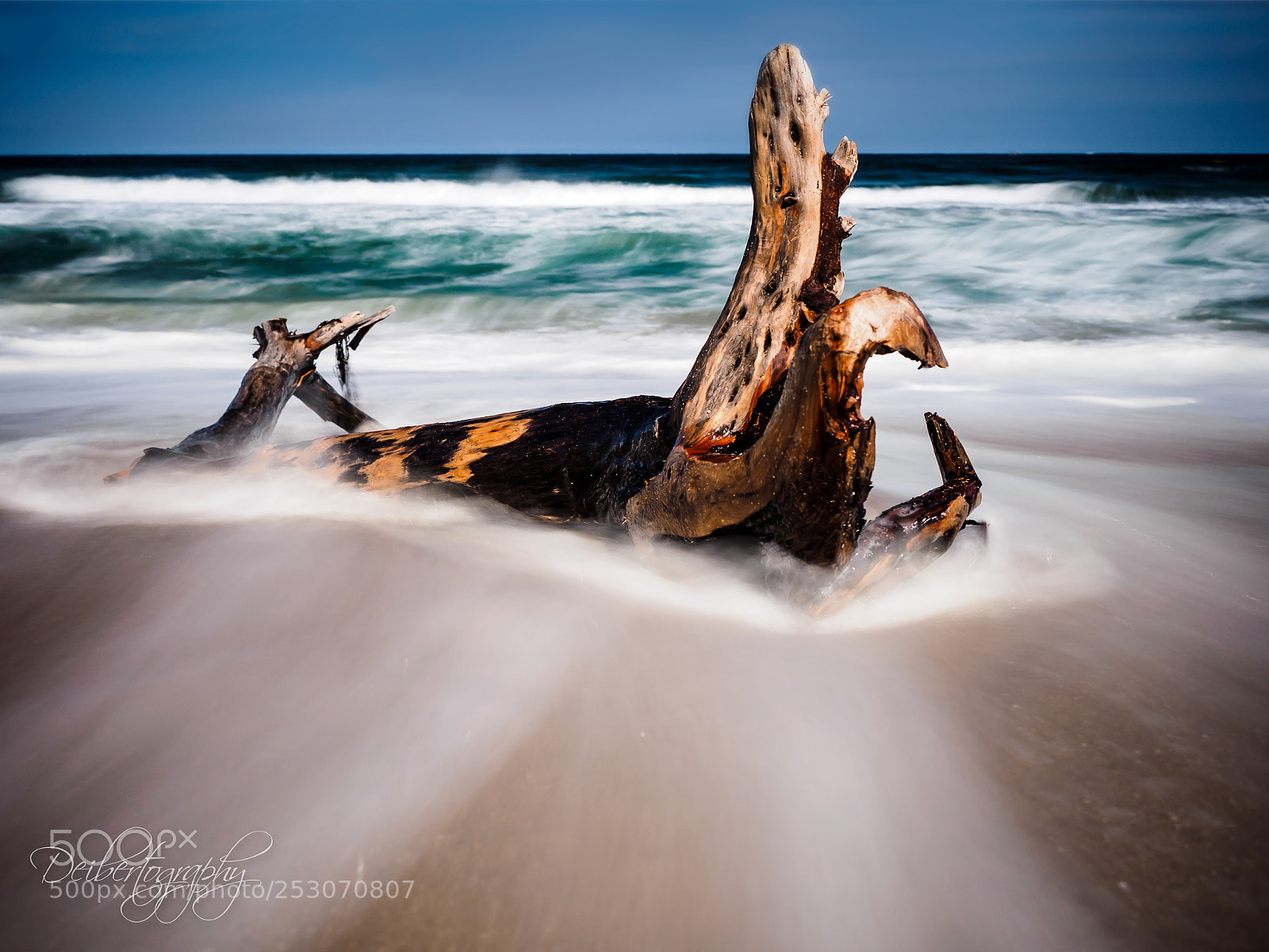 Olympus OM-D E-M1 sample photo. Branch in the tide photography