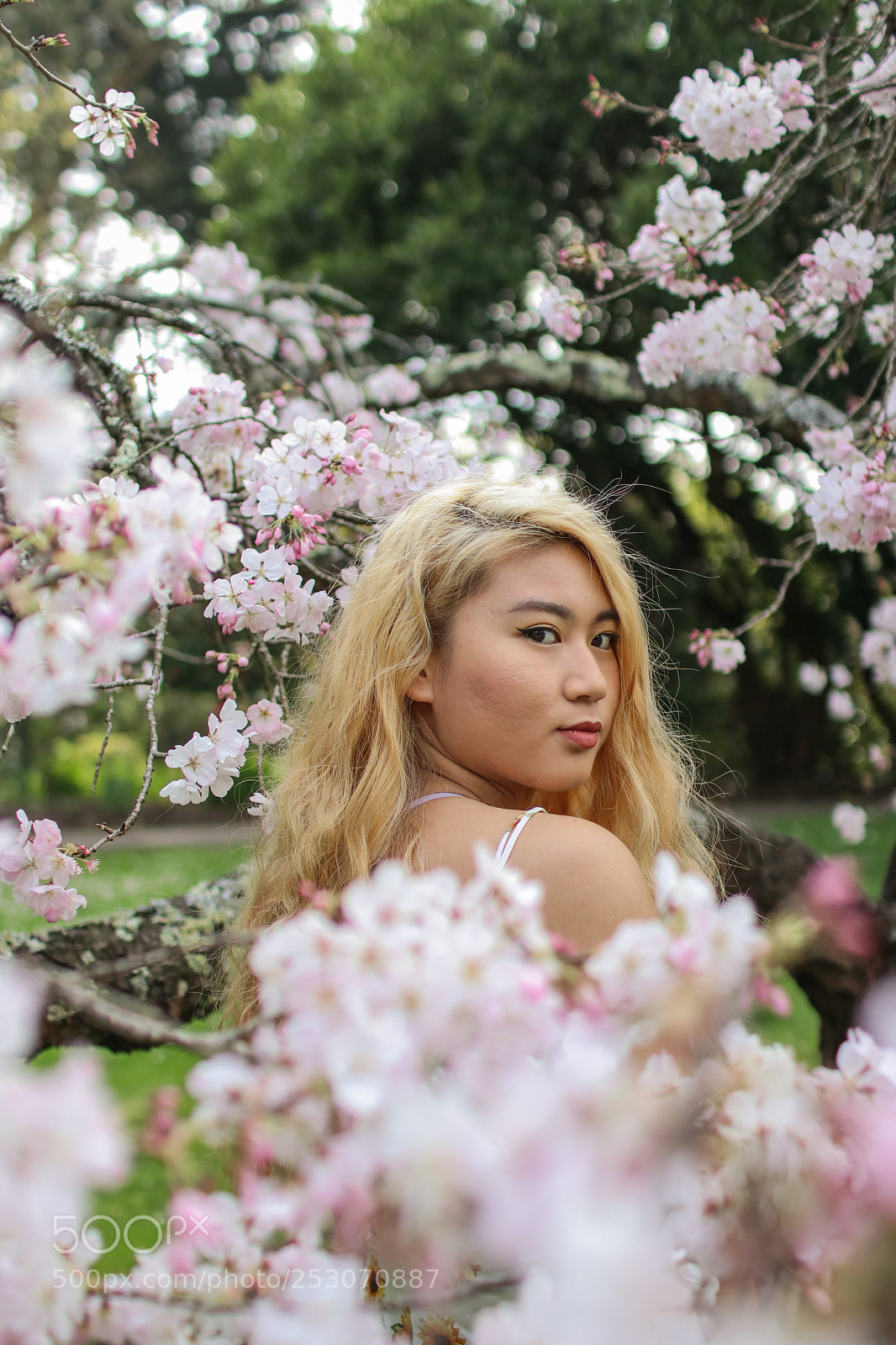 Canon EOS 80D sample photo. Steph jtg photography