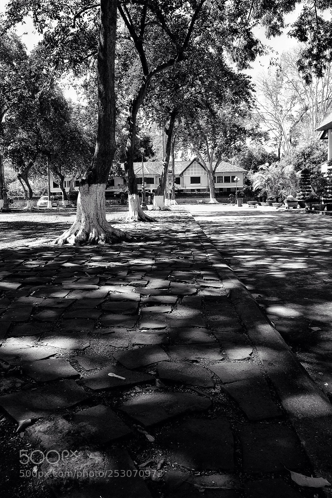 Fujifilm X-T2 sample photo. Untitled photography
