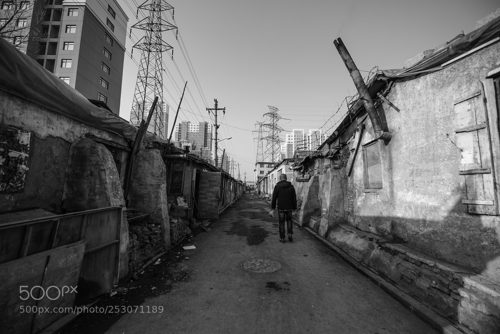 Nikon D810 sample photo. Live photography