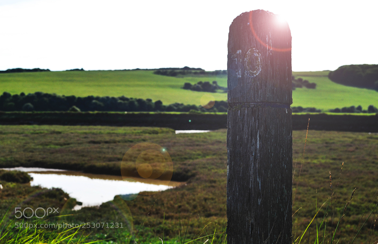 Nikon D3100 sample photo. Miles and miles. photography