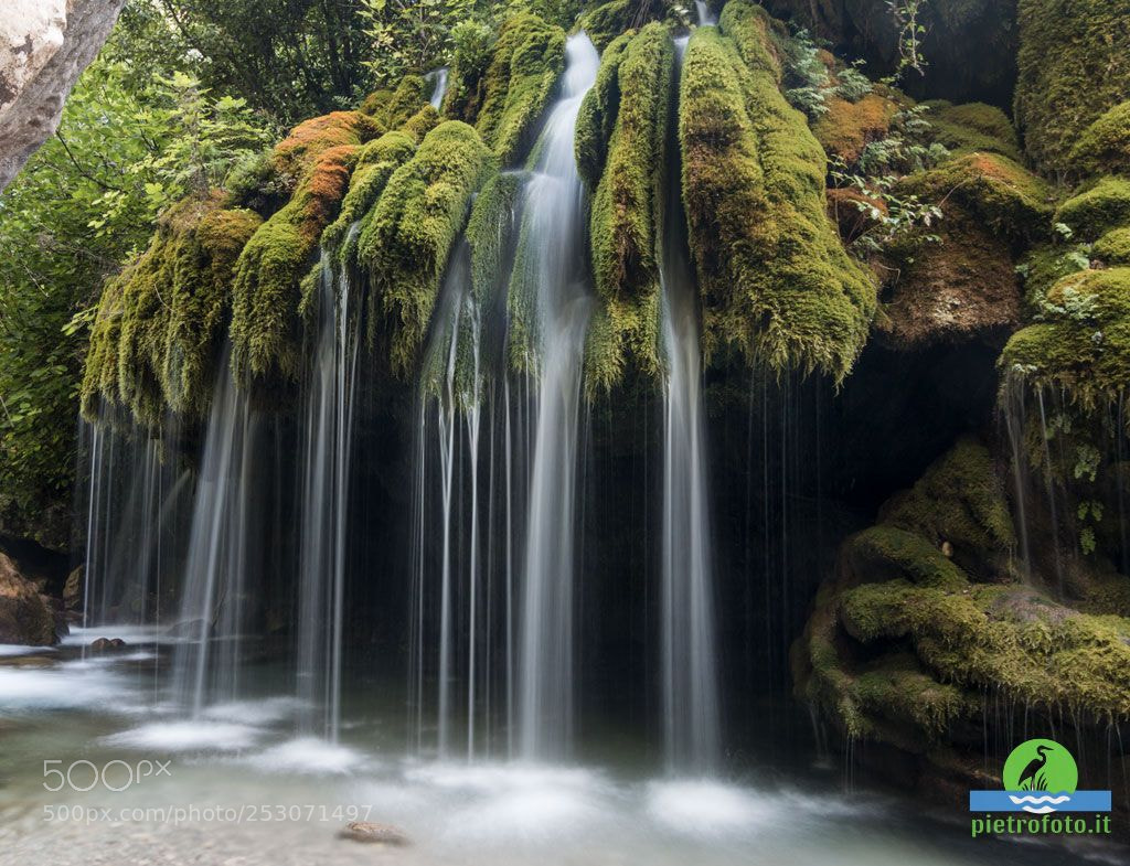 Canon EOS 70D sample photo. Capelli di venere waterfall photography