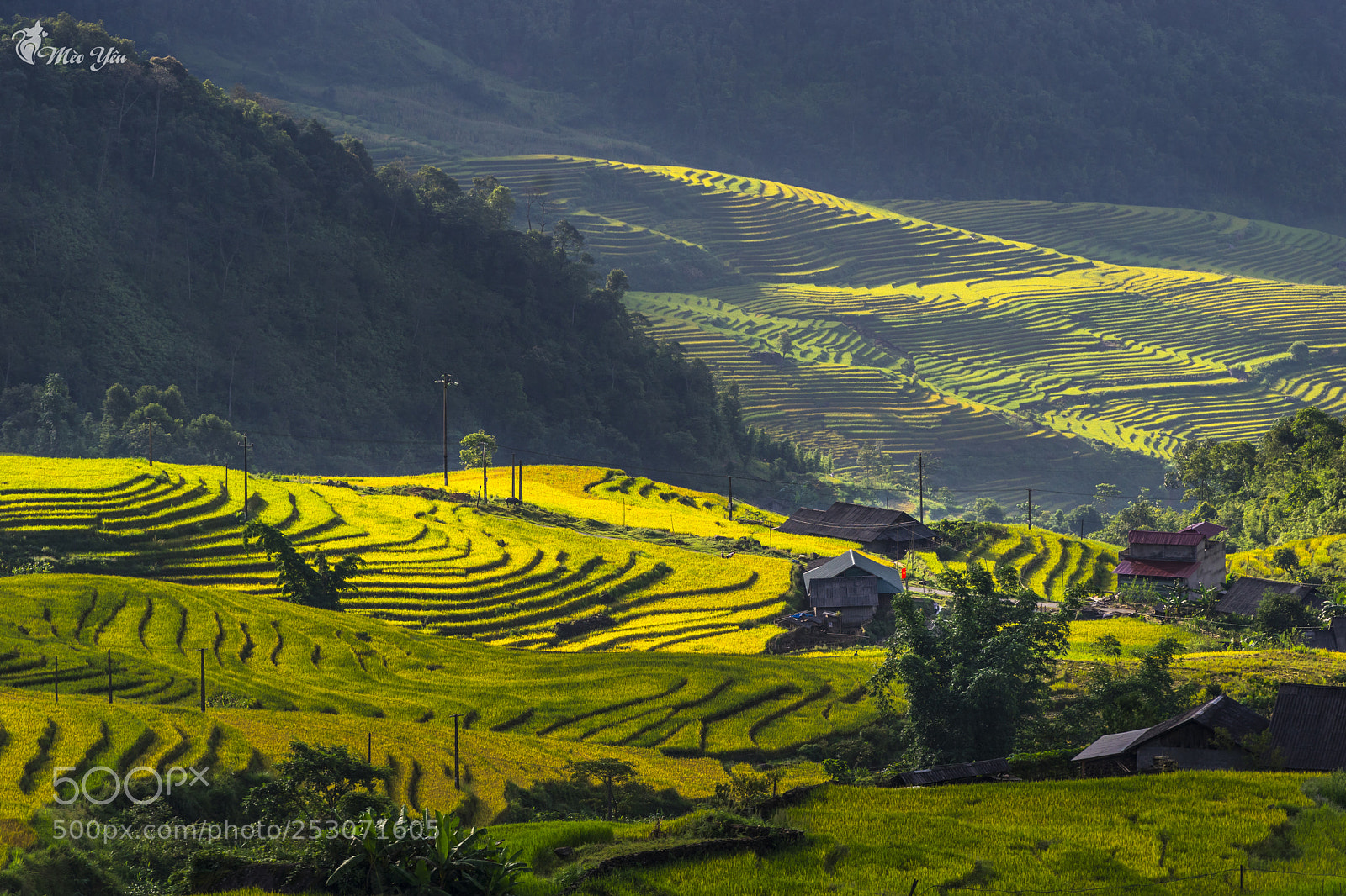 Sony a7 sample photo. Colour in sang ma photography